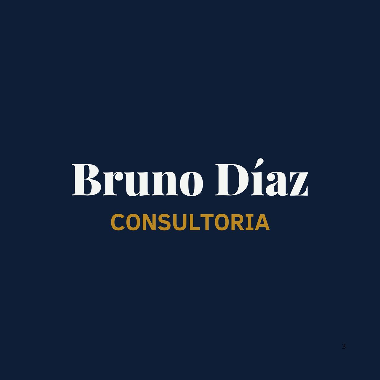 BRUNO DIAZ CONSULTORIAA